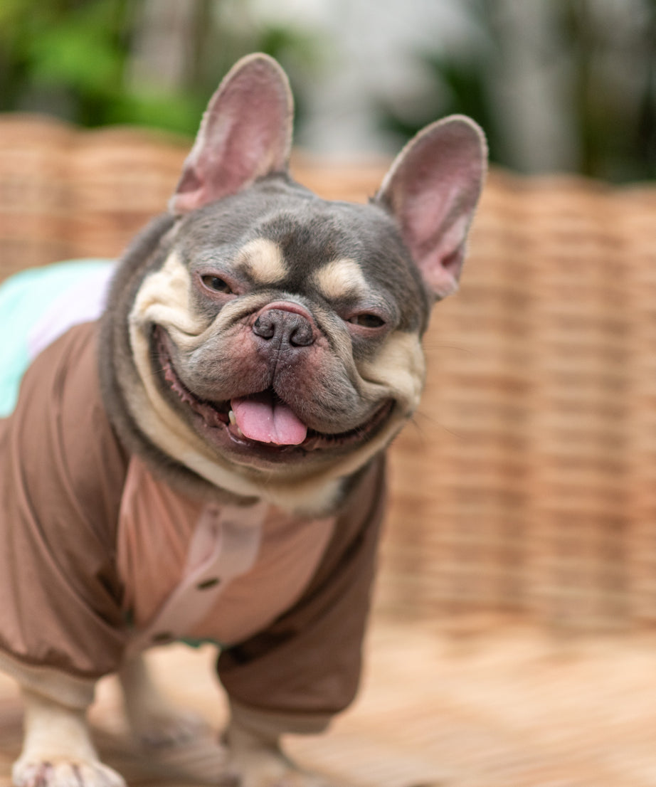 Retro Breeze Wind Jacket