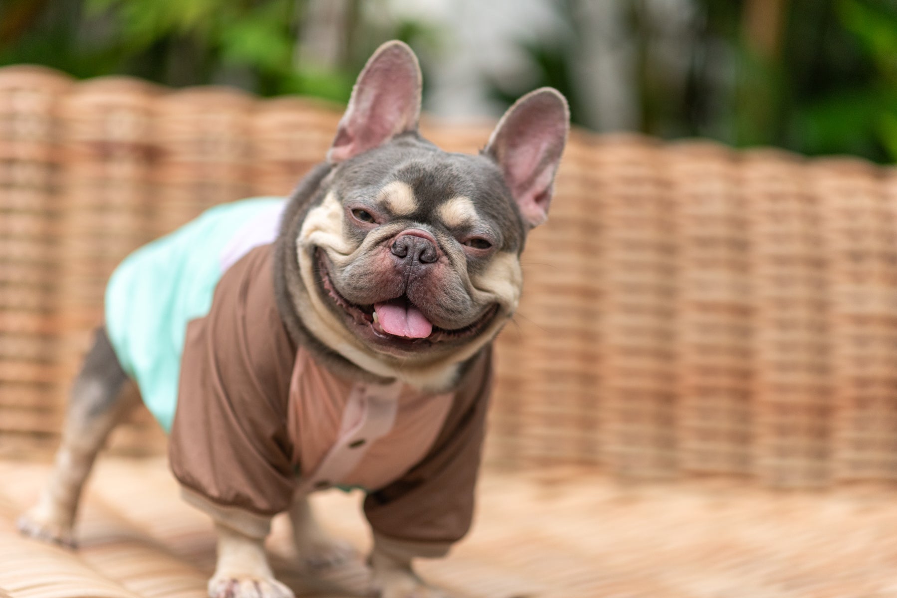 Retro Breeze Wind Jacket