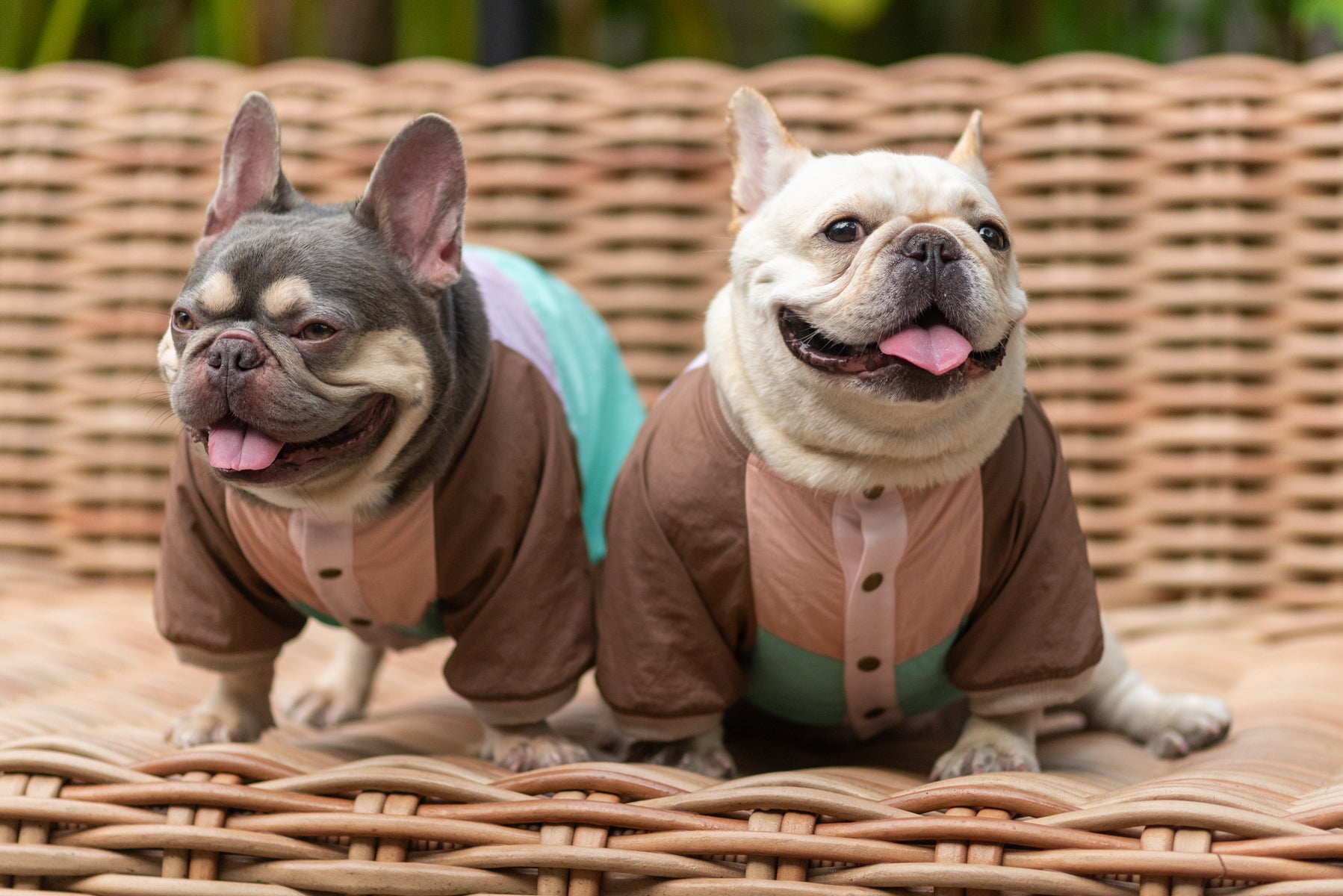 Retro Breeze Wind Jacket